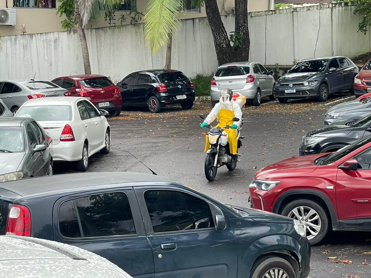 WhatsApp Image 2026-02-04 at 14.51.13 (4).jpeg